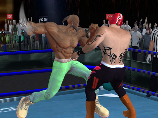 Real Boxing Fighting Game